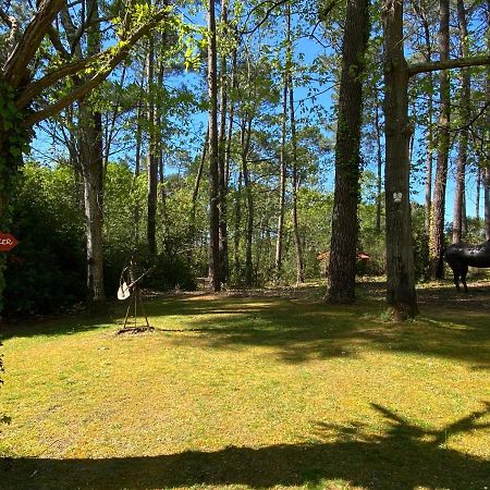 Le Petit Poulailler Au Beau Milieu Des Pins Villa Lacanau Eksteriør billede