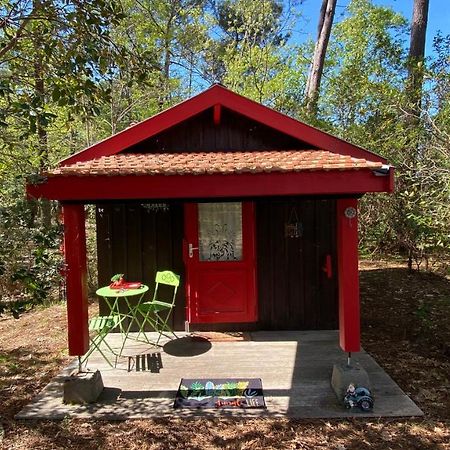 Le Petit Poulailler Au Beau Milieu Des Pins Villa Lacanau Eksteriør billede