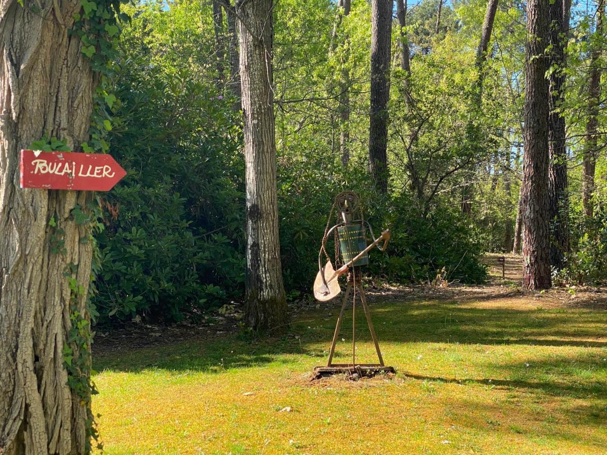 Le Petit Poulailler Au Beau Milieu Des Pins Villa Lacanau Eksteriør billede