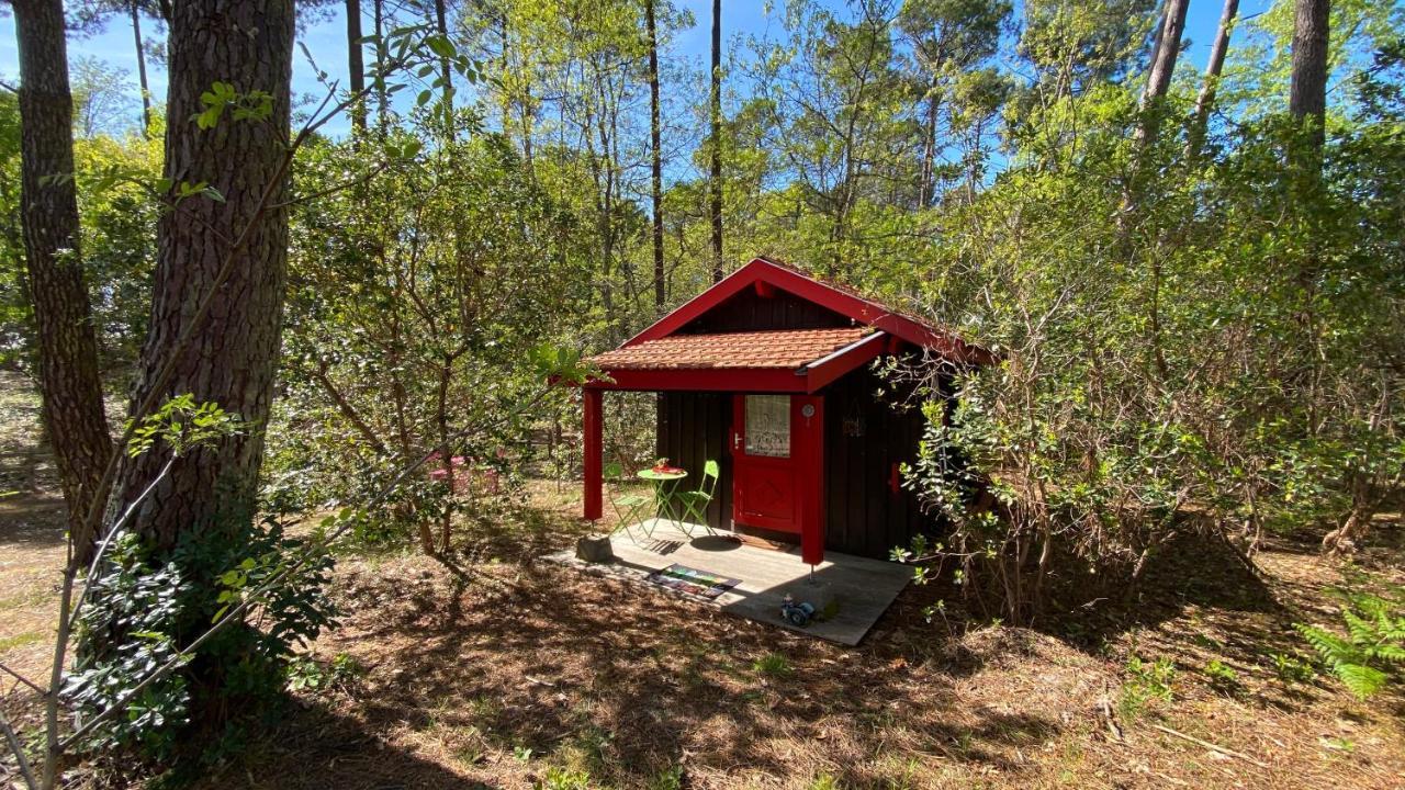 Le Petit Poulailler Au Beau Milieu Des Pins Villa Lacanau Eksteriør billede