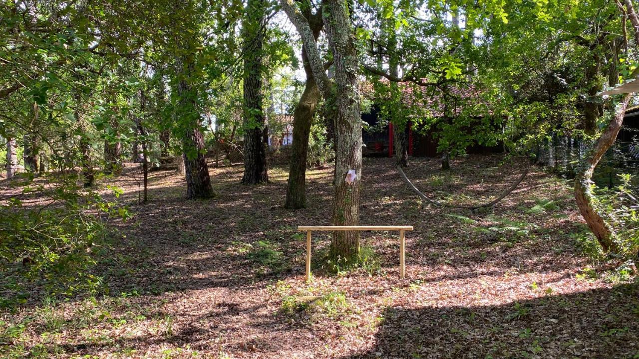 Le Petit Poulailler Au Beau Milieu Des Pins Villa Lacanau Eksteriør billede