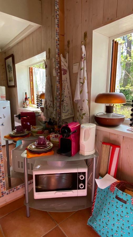 Le Petit Poulailler Au Beau Milieu Des Pins Villa Lacanau Eksteriør billede