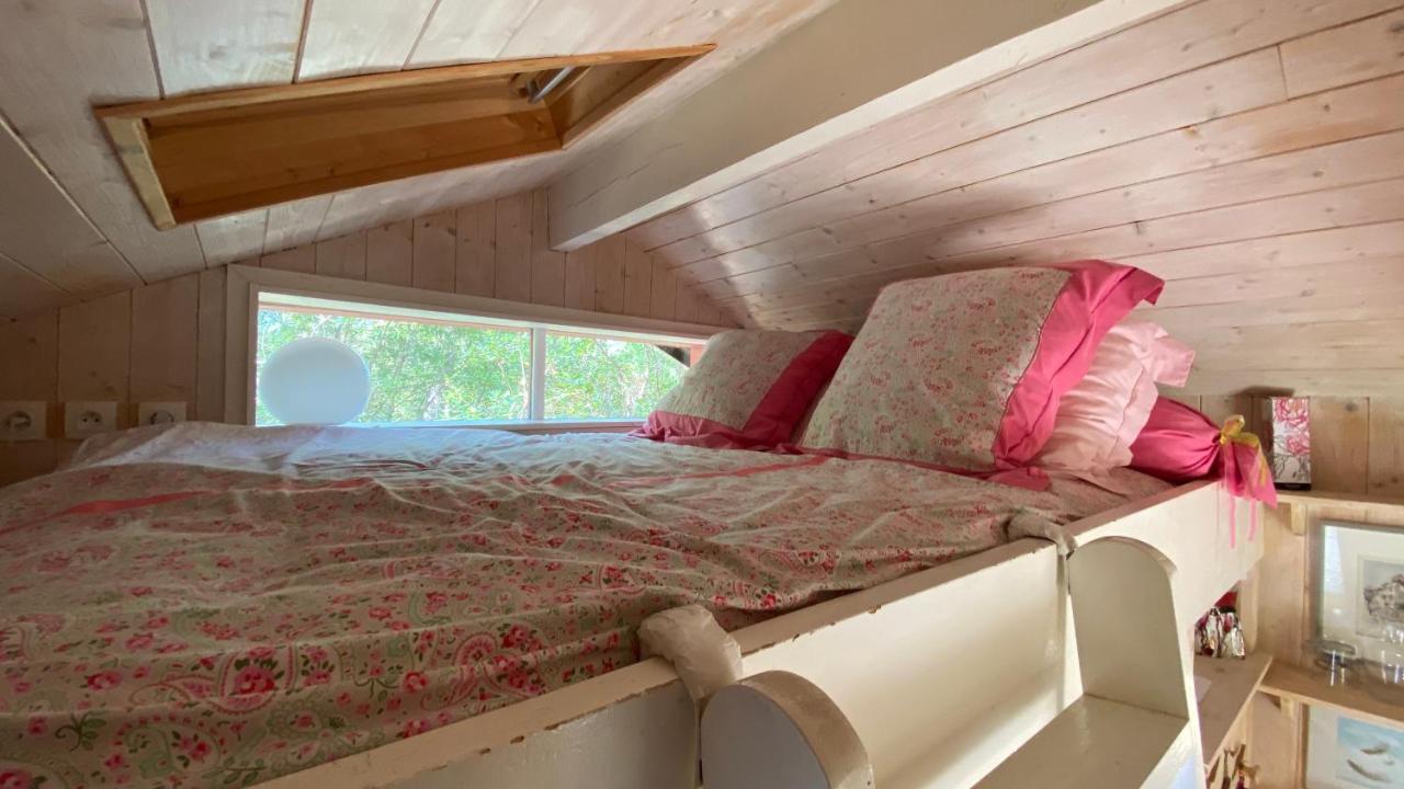 Le Petit Poulailler Au Beau Milieu Des Pins Villa Lacanau Eksteriør billede