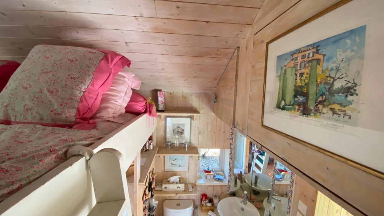 Le Petit Poulailler Au Beau Milieu Des Pins Villa Lacanau Eksteriør billede