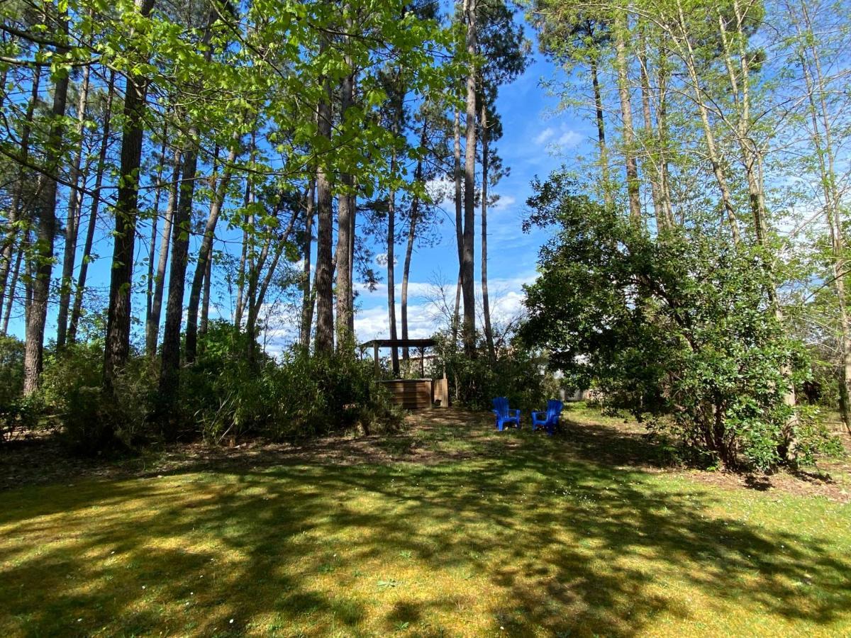Le Petit Poulailler Au Beau Milieu Des Pins Villa Lacanau Eksteriør billede